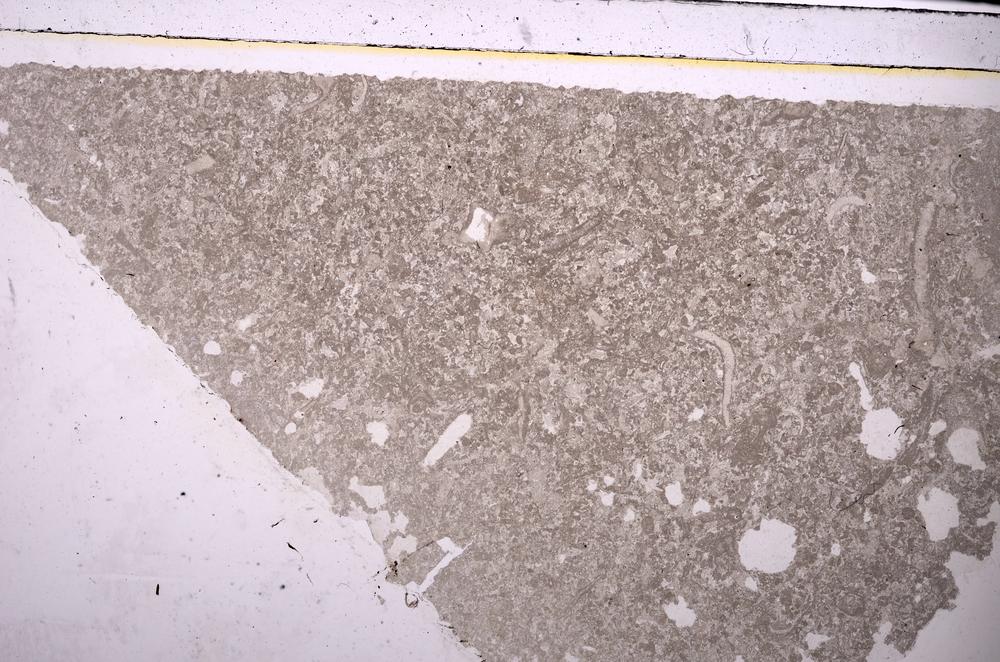 Plane Polarized, E45940