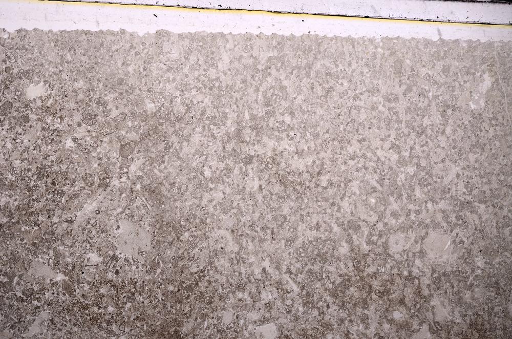 Plane Polarized, E45941