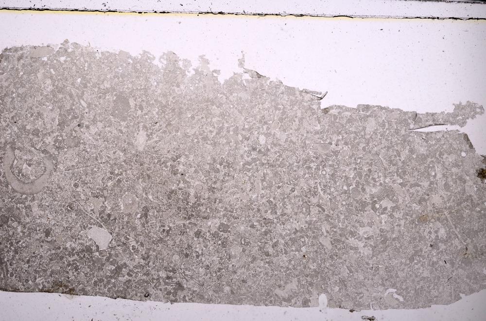 Plane Polarized, E45942