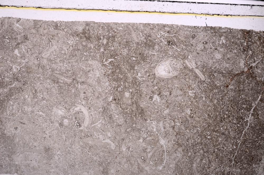 Plane Polarized, E45943