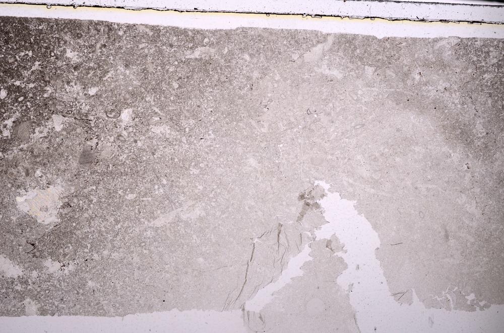 Plane Polarized, E45944