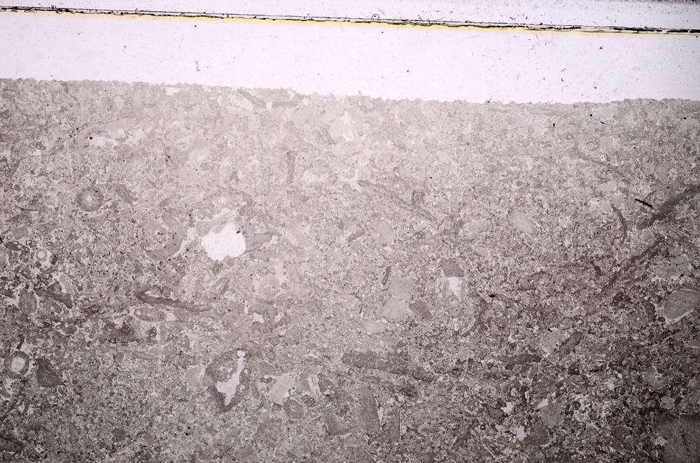 Plane Polarized, E45945
