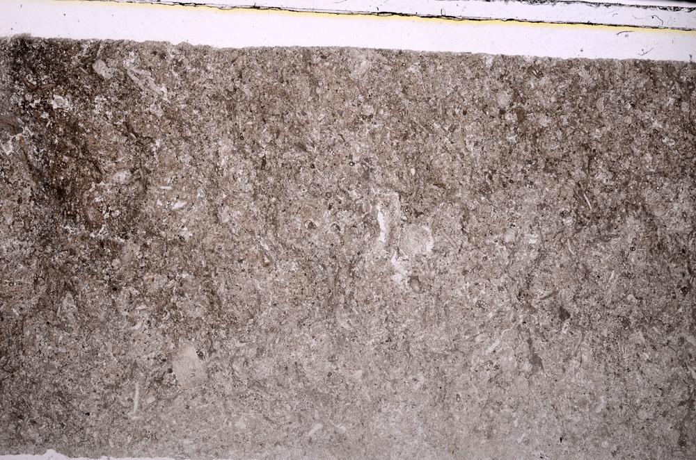 Plane Polarized, E45946