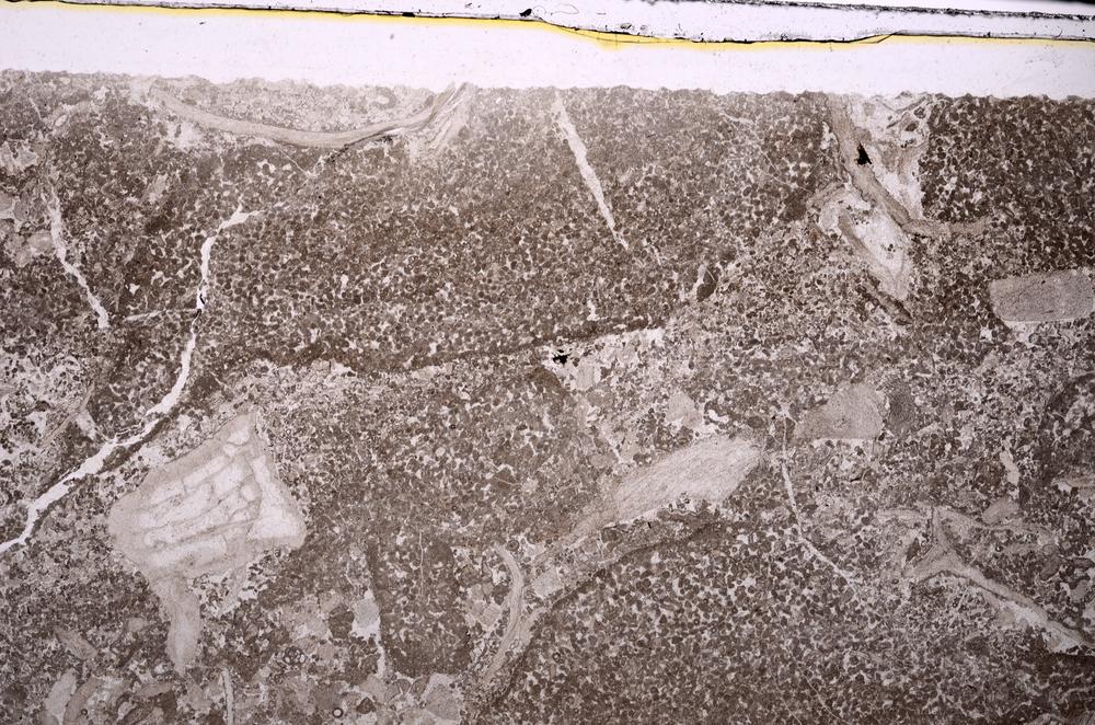 Plane Polarized, E45948