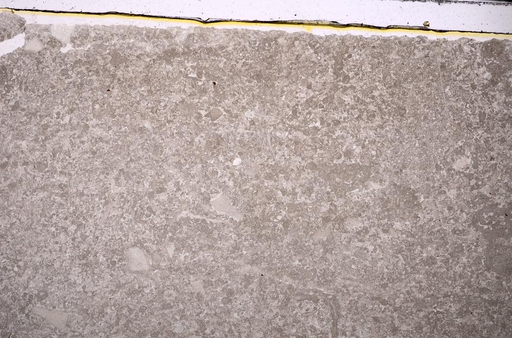 Plane Polarized, E45949
