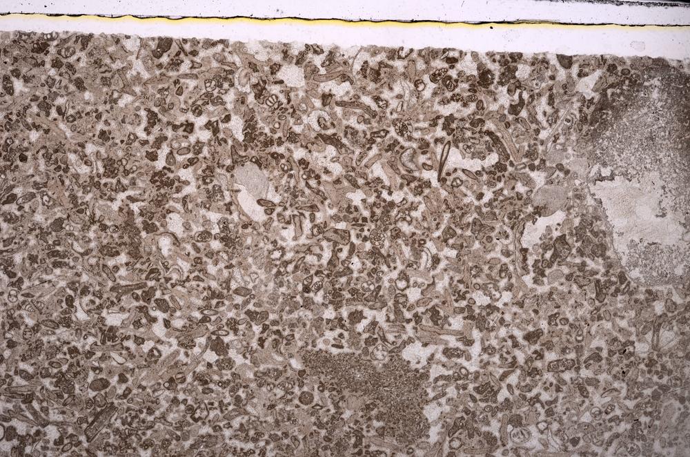 Plane Polarized, E45950