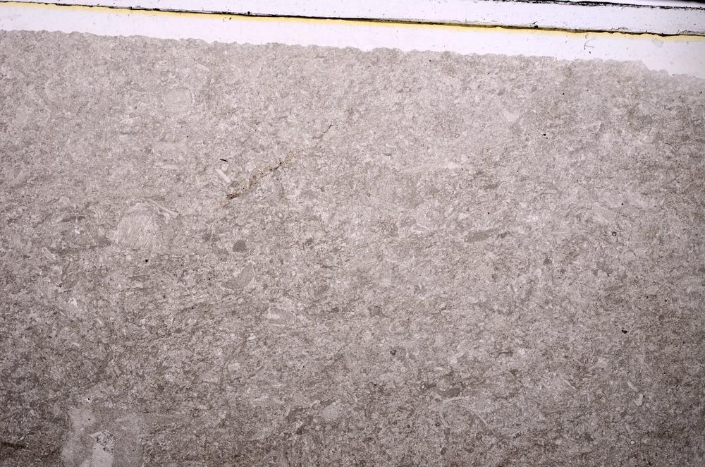 Plane Polarized, E45951