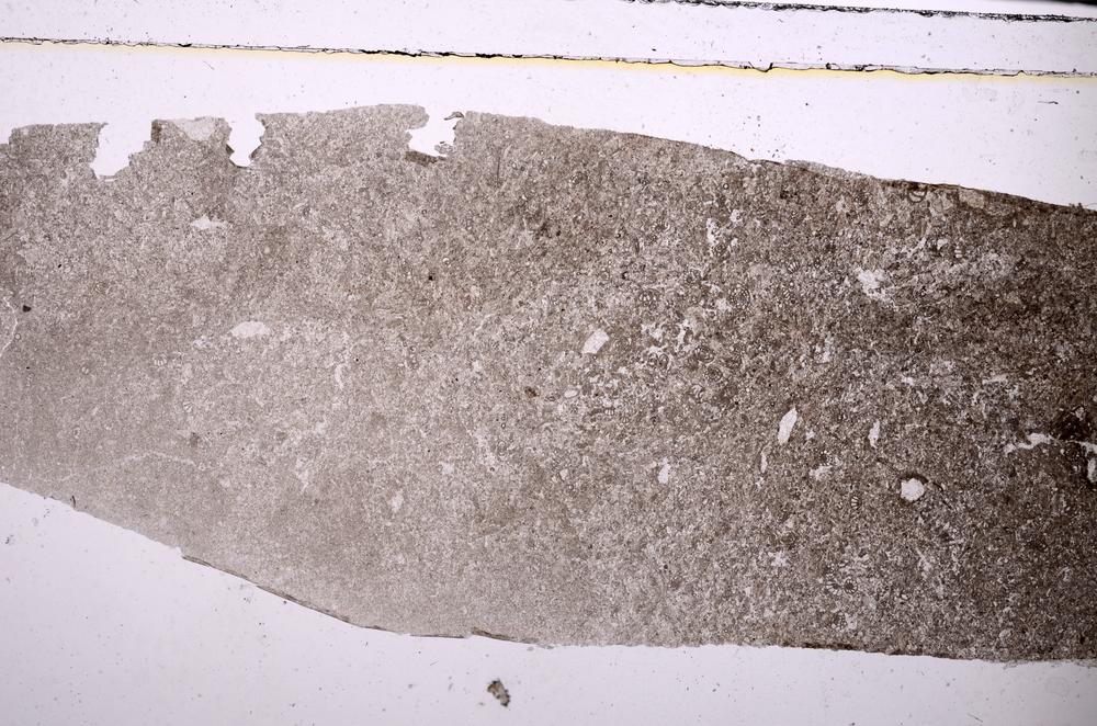 Plane Polarized, E45953