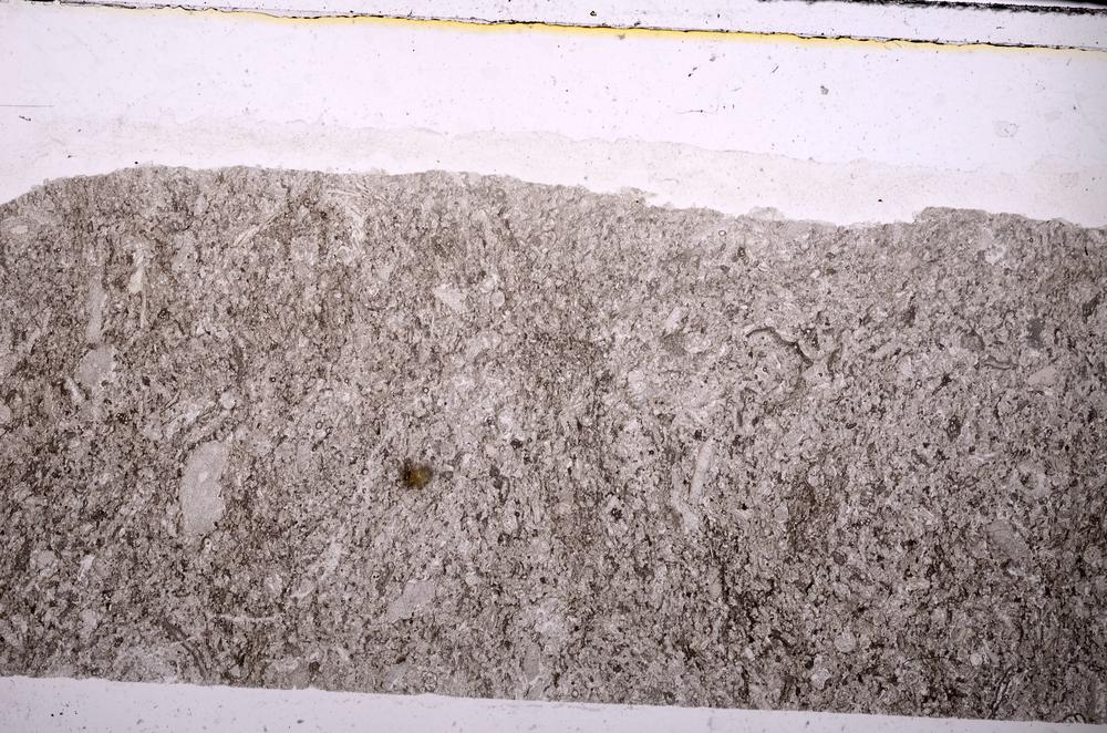 Plane Polarized, E45955