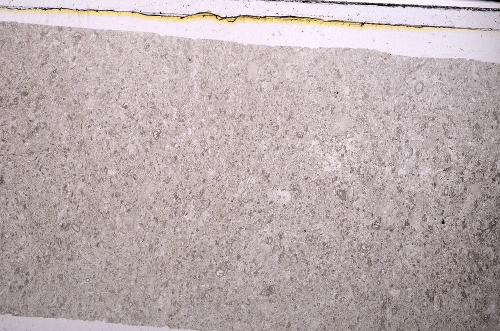 Plane Polarized, E45956