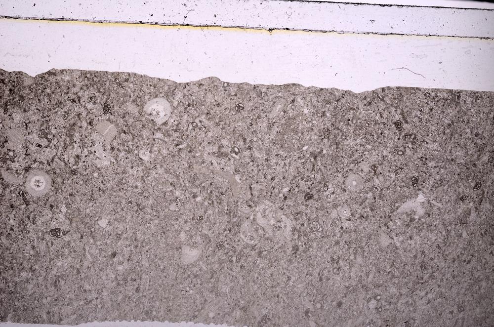 Plane Polarized, E45957