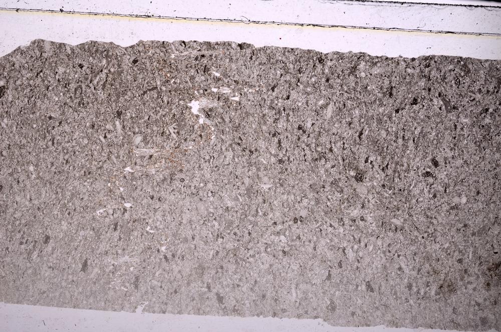 Plane Polarized, E45958