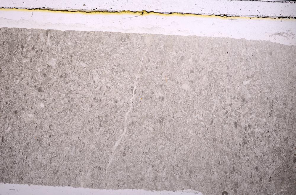 Plane Polarized, E45959