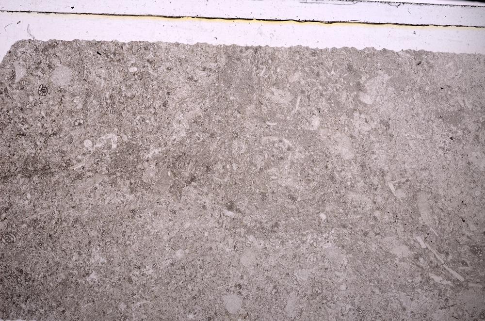 Plane Polarized, E45960