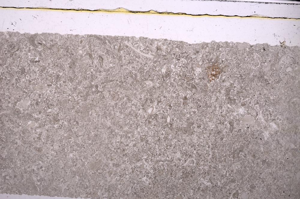 Plane Polarized, E45961