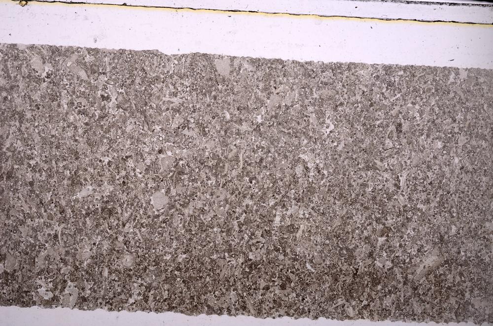 Plane Polarized, E45962