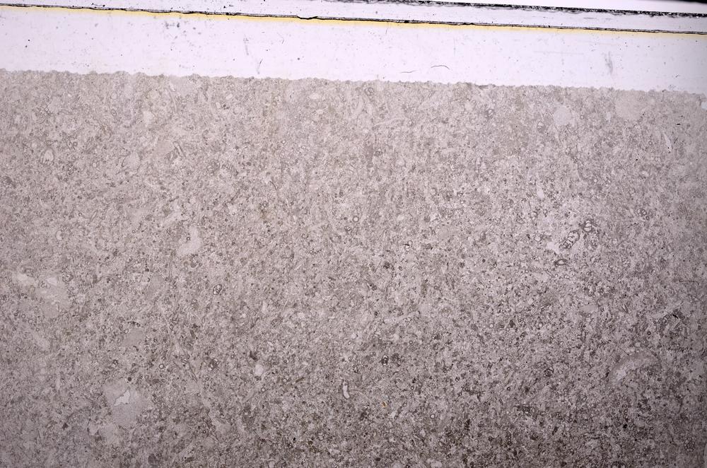 Plane Polarized, E45963