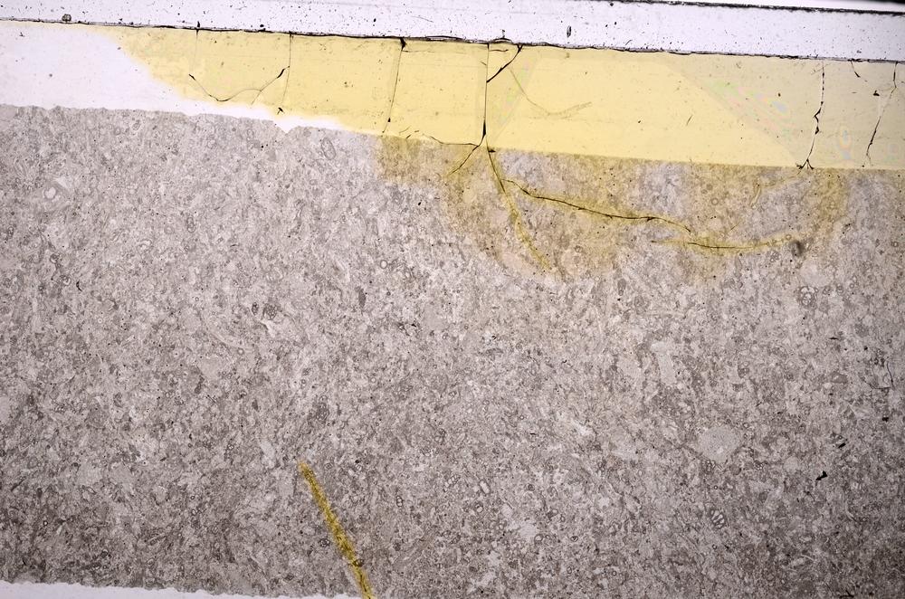 Plane Polarized, E45965