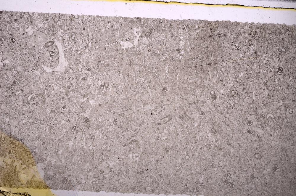 Plane Polarized, E45966