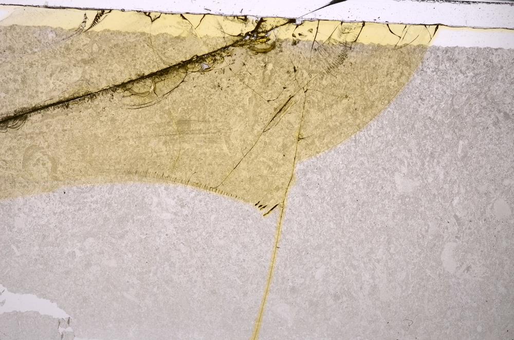 Plane Polarized, E45967