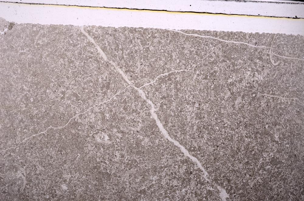 Plane Polarized, E45970