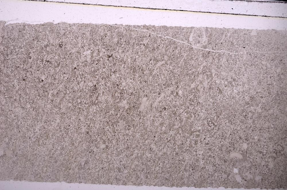 Plane Polarized, E45971