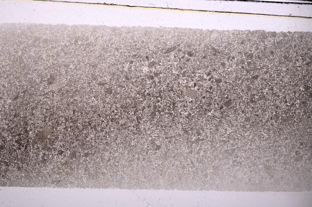Plane Polarized, E45972