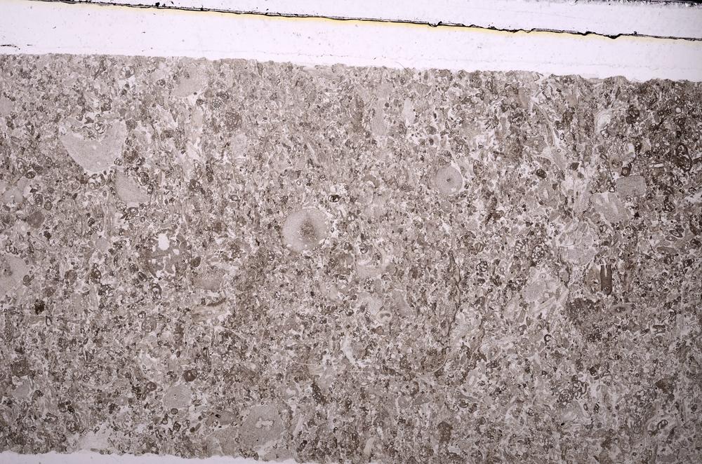 Plane Polarized, E45973