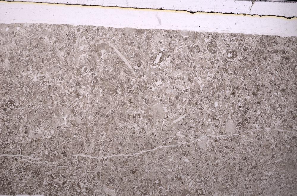 Plane Polarized, E45974