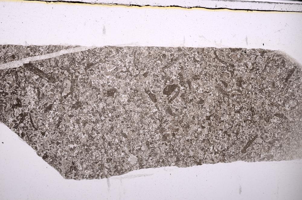 Plane Polarized, E45979