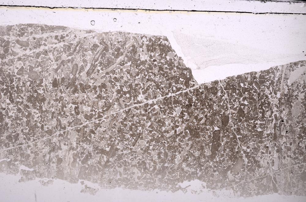 Plane Polarized, E45982