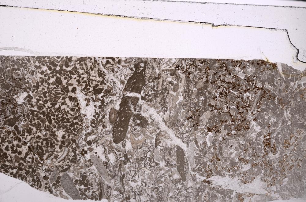 Plane Polarized, E45983