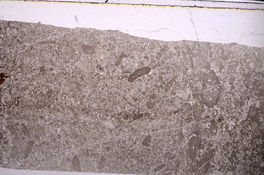 Plane Polarized, E45986