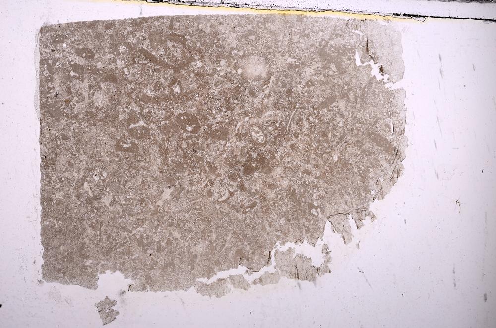 Plane Polarized, E45987