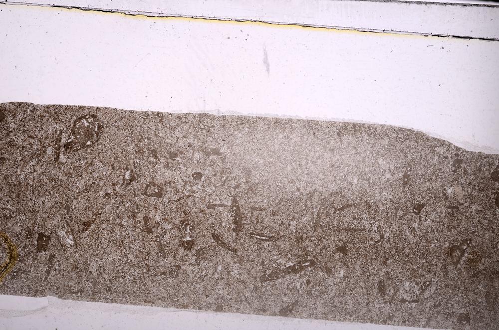Plane Polarized, E45988