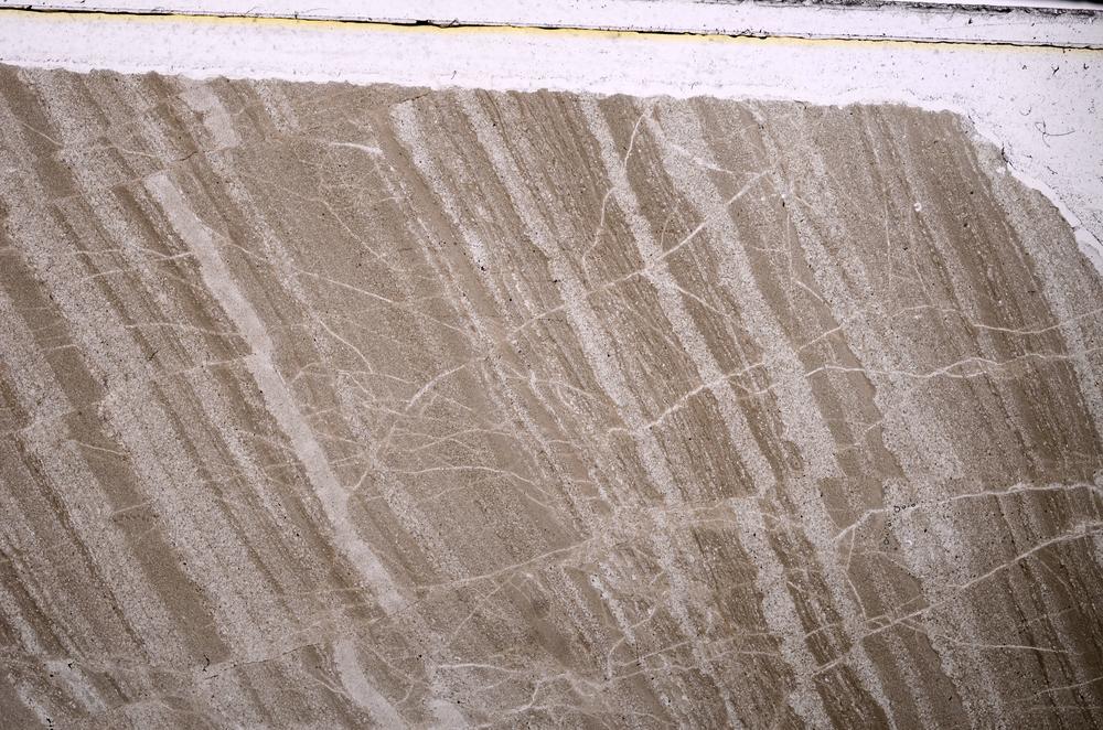 Plane Polarized, E46020/A