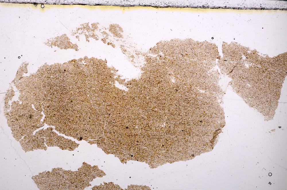 Plane Polarized, E46071/B