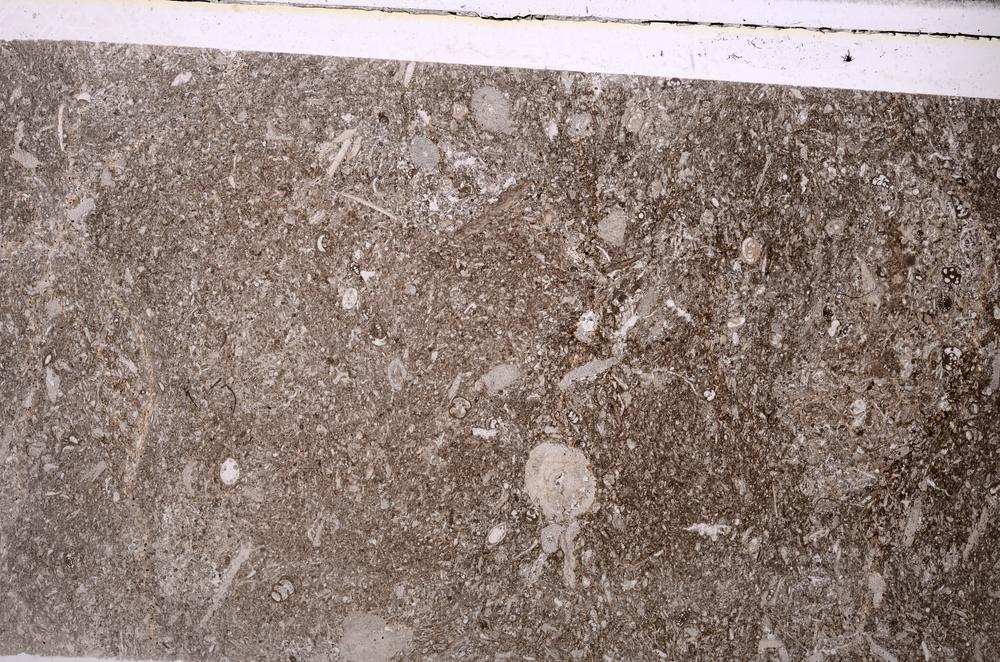 Plane Polarized, E46126