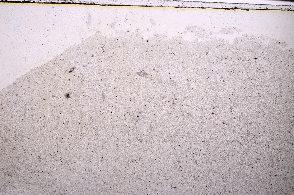 Plane Polarized, E46162