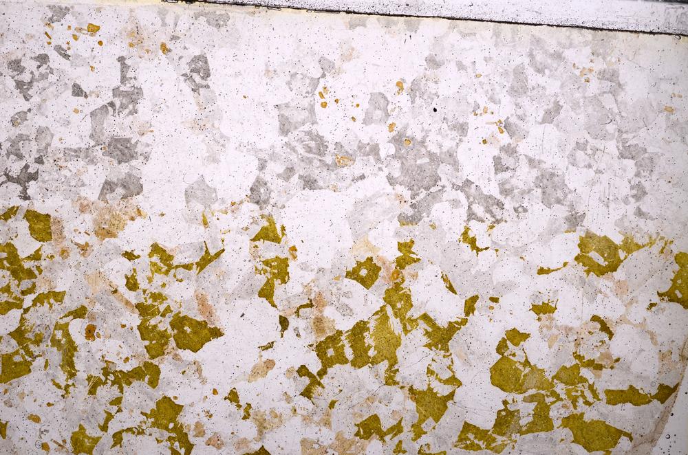 Plane Polarized, E46176/A
