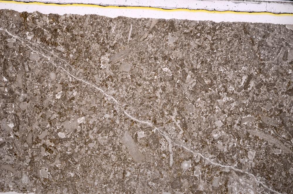 Plane Polarized, E46187