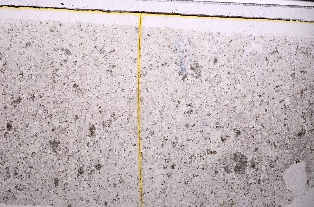 Plane Polarized, E46236