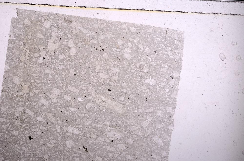 Plane Polarized, E46243