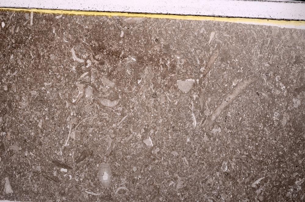 Plane Polarized, E46270