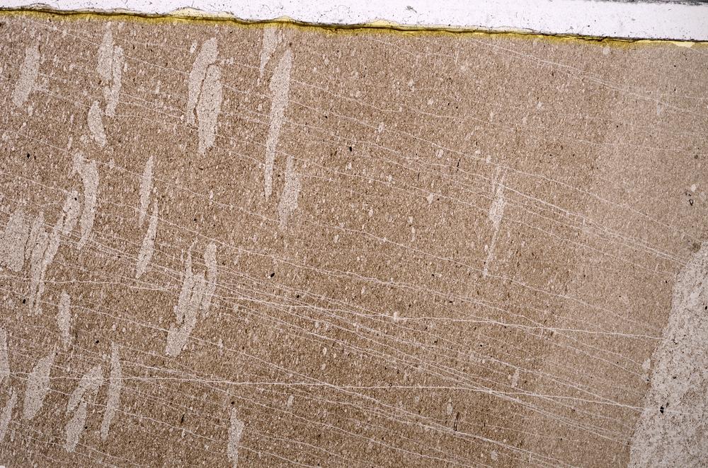 Plane Polarized, E46275