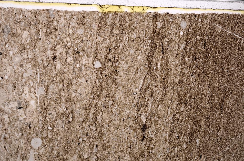 Plane Polarized, E46278