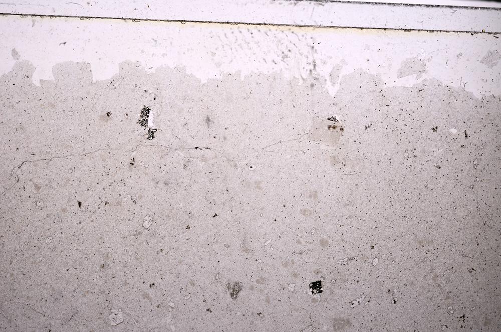 Plane Polarized, E46301