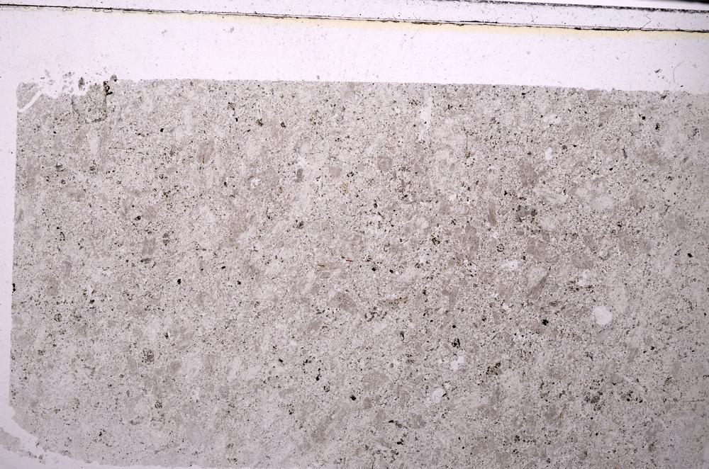 Plane Polarized, E46303