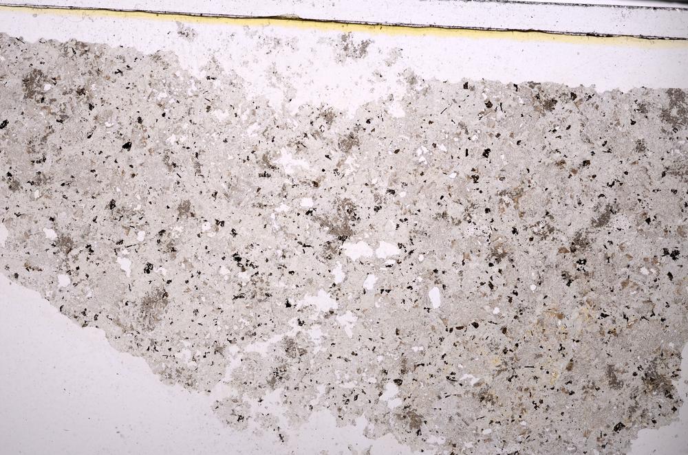 Plane Polarized, E46315