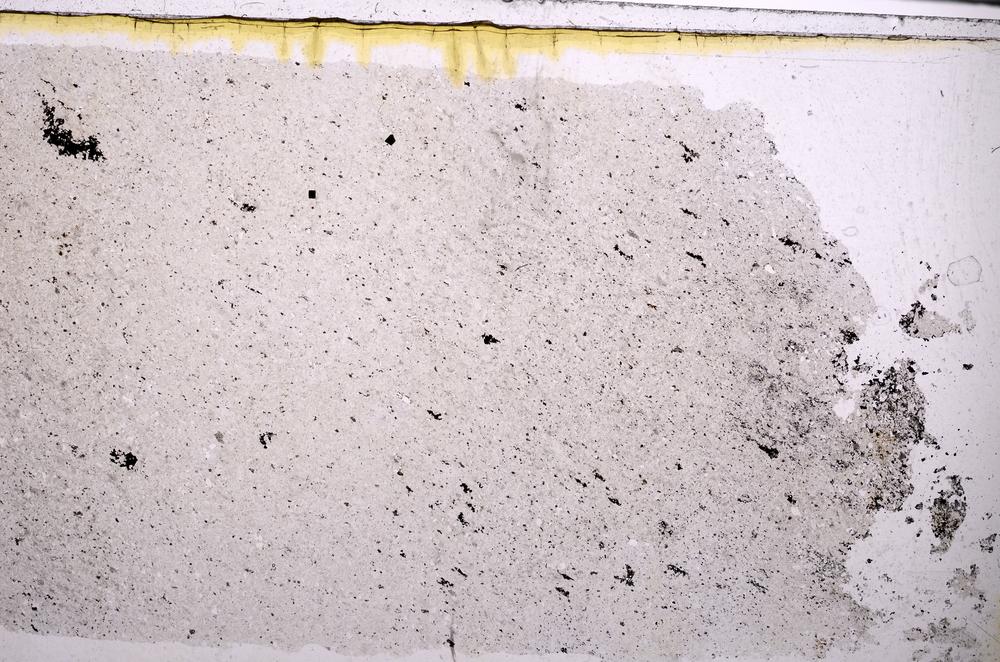 Plane Polarized, E46316